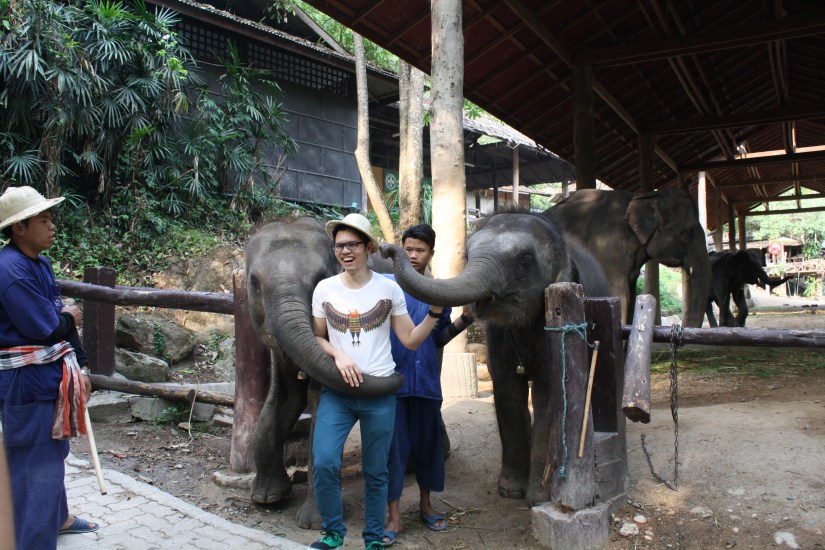 chiangmai_dixon (19)