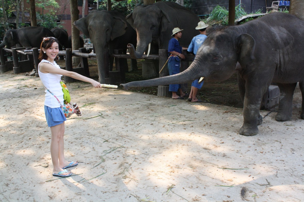 chiangmai_dixon (20)