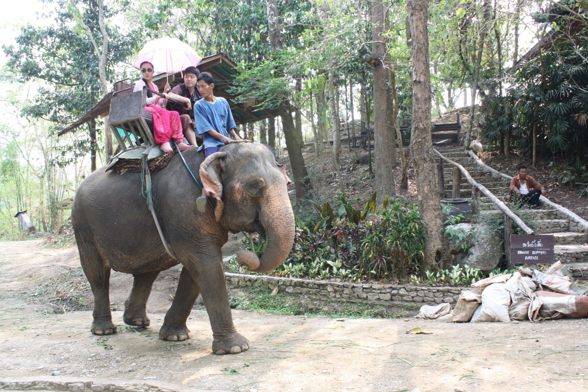 chiangmai_dixon (22)