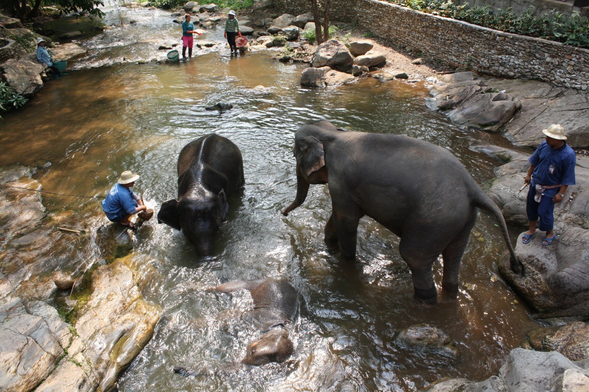 chiangmai_dixon (23)