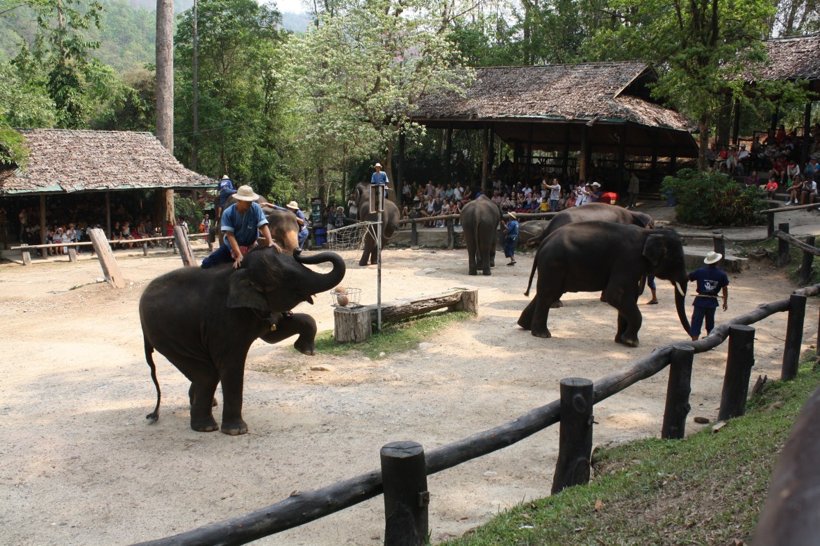 chiangmai_dixon (26)