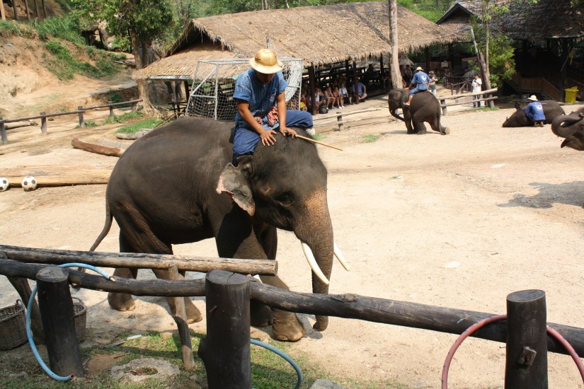 chiangmai_dixon (27)