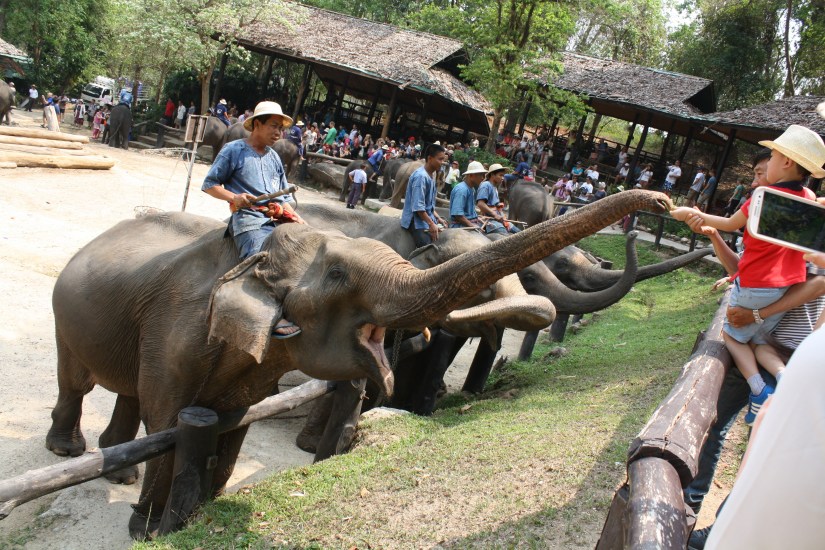 chiangmai_dixon (29)