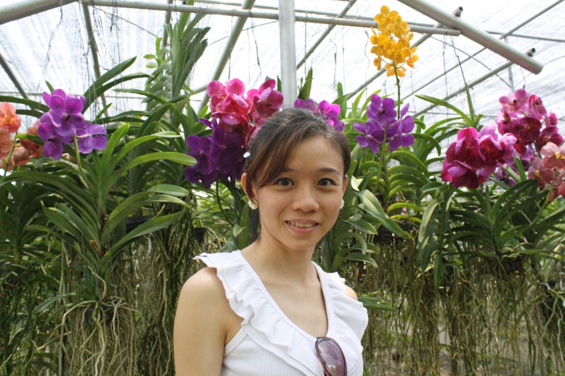 chiangmai_dixon (31)