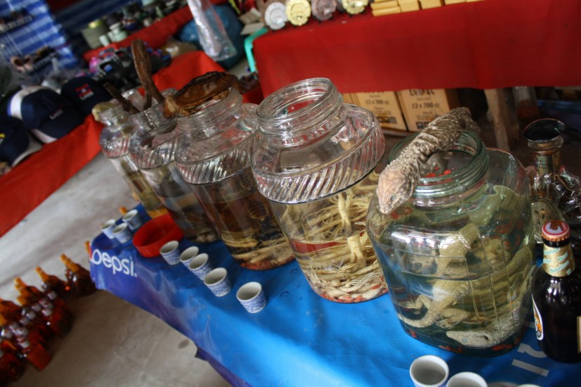 chiangmai_dixon (68)