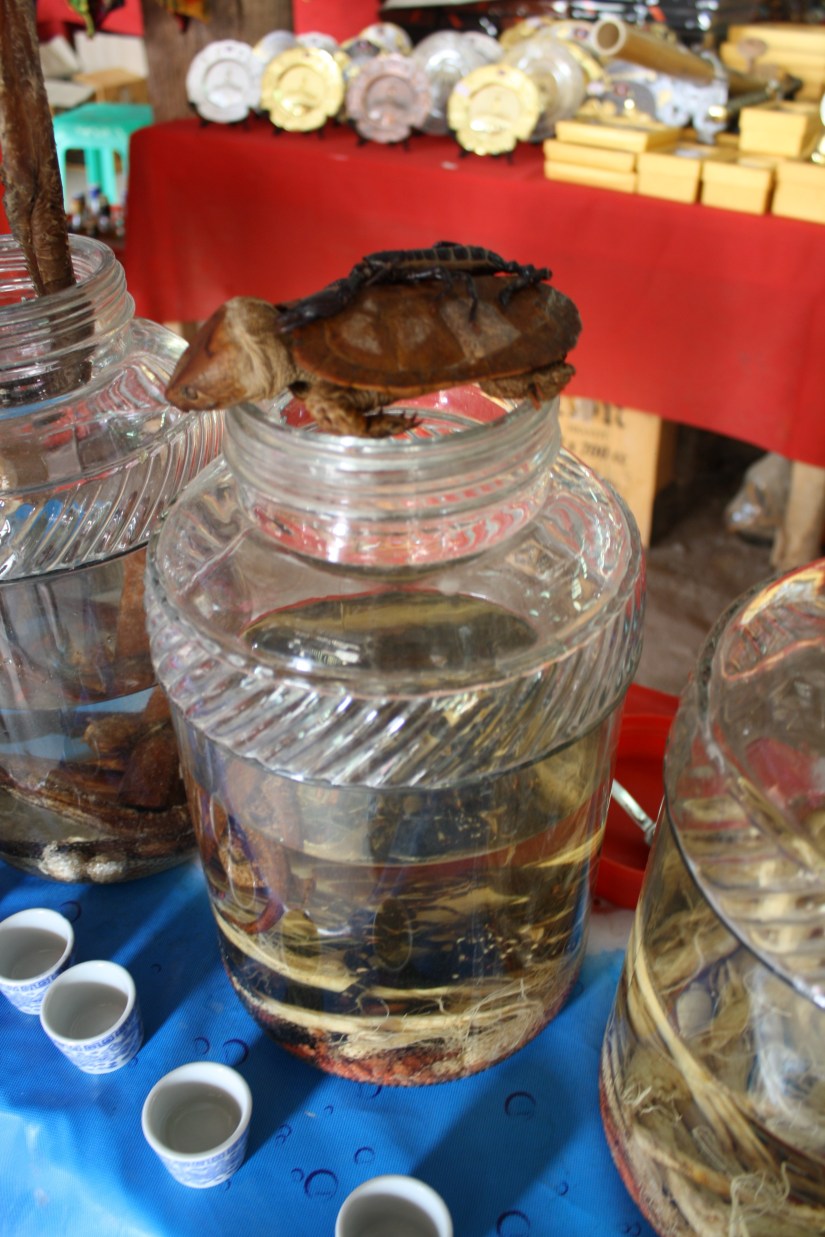 chiangmai_dixon (69)