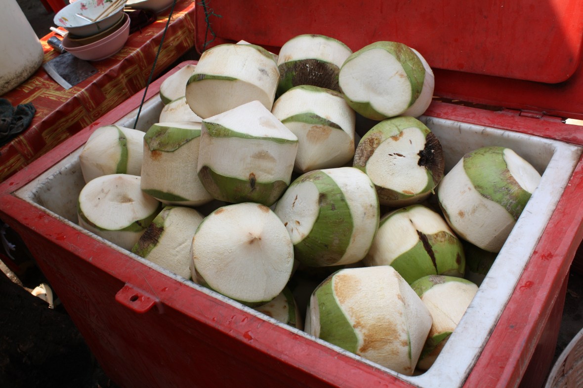 chiangmai_dixon (75)